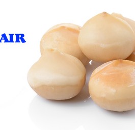 Macadamia-Nüsse: Kleine Frucht, große Wirkung.