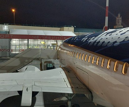 In dieser Boeing 737-500 reisten die Tiere und die menschlichen Begleiter.