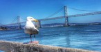 Harbour Bay Bridge 