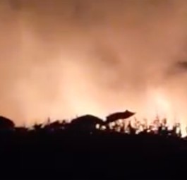 Brand: So sah es an der Unfallstelle aus.