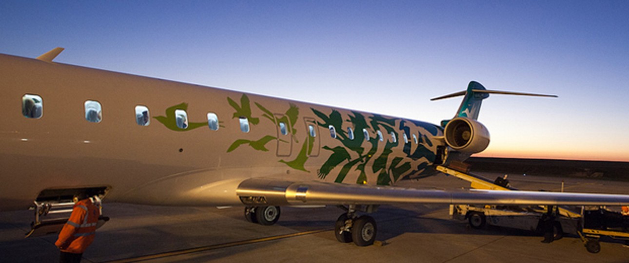 Bombardier CRJ 900 Next Gen von Pluna: Flieger bleiben am Boden.