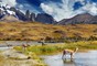 Einfachere Einreise nach Chile