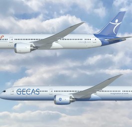 Flieger von Aercap und Gecas: Künftig gemeinsam unterwegs?