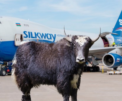 Yak vor Boeing 747-400 F von Silk Way West (Montage): 116 an Bord.