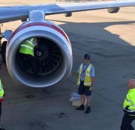Beim Rundgang um eine Boeing 737 machten Mechaniker von Virgin Australia einen speziellen Fund.