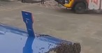 Bienenschwarm an der Frachttür: Der Flug konnte am 7. Juli erst eine Stunde später starten.
