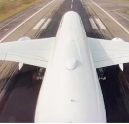 Airbus A350 beim Start: Wenn es am Flughafen sauberer wird, ist er attraktiver für Insekten.