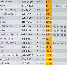 Anzeigetafel in Amsterdam: Flüge ins Vereinigte Königreich fallen aus.