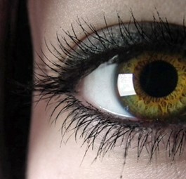 Augen: Wer sie scannen lässt, kann schneller einsteigen