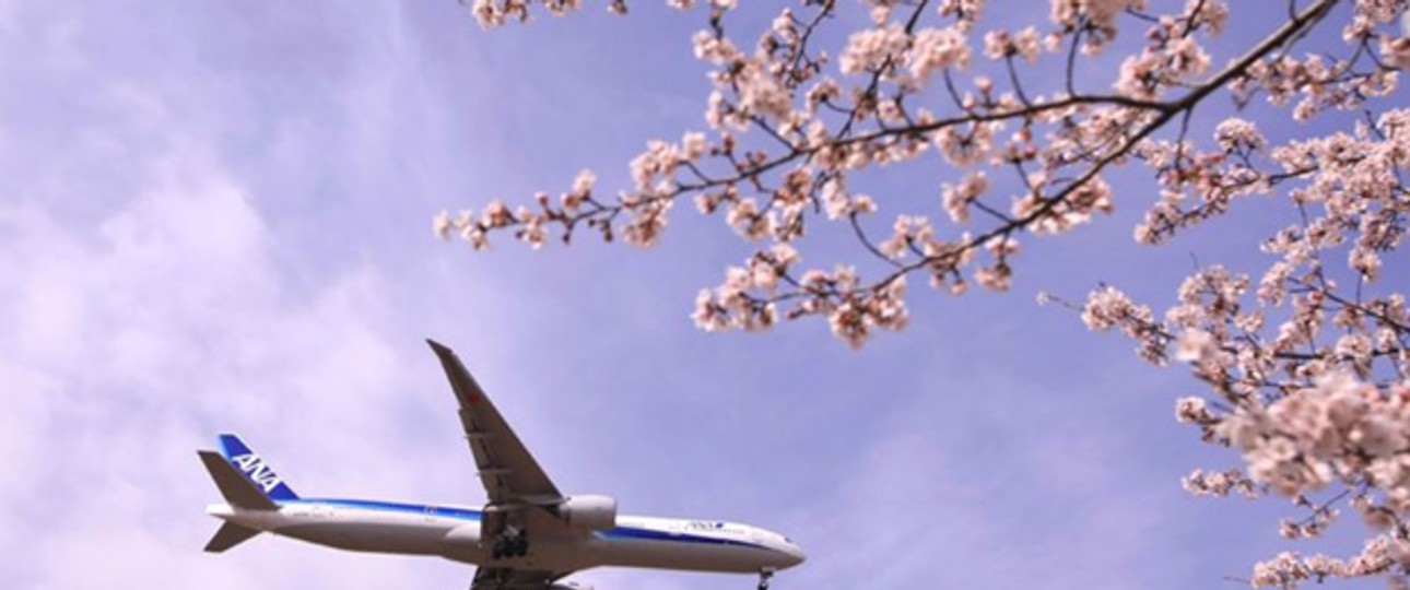 Das sind die Airlines, die bereits fünf Sterne bei Skytrax haben: All Nippon Airways, Japan.