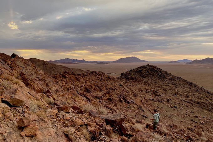 Die Namib hat viele Gesichter 
