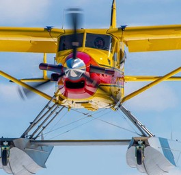 DHC-2 Beaver: Darf mit Turbopropmotor von Pratt &amp; Whitney nachgerüstet werden.