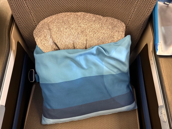Gäste der Premium Economy bekommen ein Kissen und eine kuschelige Decke.