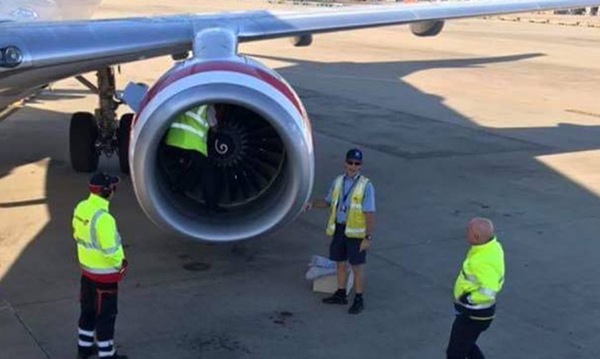 Beim Rundgang um eine Boeing 737 machten Mechaniker von Virgin Australia einen speziellen Fund.