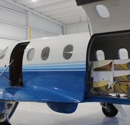 Knapp 1000 Freizeitflieger reagierten auf den Hilferuf der Organisation Turtles Fly Too und stellten Pilotendienste oder Flugzeuge zur Verfügung.