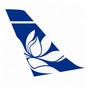 ticker southern airways express-2