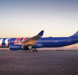 sas airbus a330 300 sonderlackierung 02