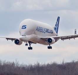 bluga st no5  landing in  mirabel