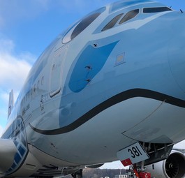 Flying Honu von ANA: Die Fluggesellschaft baut mit ihren Airbus A380 stark nach Hawaii aus.