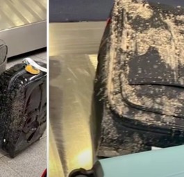 Bilder von Koffern aus dem Virgin-Flug nach New York: Die Gepäckstücke sehen so aus, als seien sie mit menschlichen Ausscheidungen überzogen.