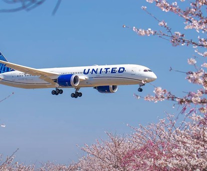 Ein Dreamliner von United: Die Airline will bis 2030 die gesamte Boeing 767-Flotte durch Dreamliner ersetzen.