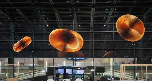 Kunst im T3: Die Donuts wurden wieder abgehängt.