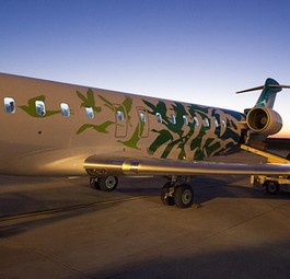 Bombardier CRJ 900 Next Gen von Pluna: Flieger bleiben am Boden.