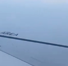 Taube auf der Tragfläche: Kann sich nicht ewig halten.