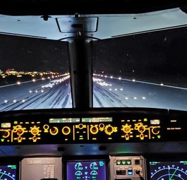 Blick aus dem Cockpit: Das Herz des Flugzeuges soll besser geschützt werden.