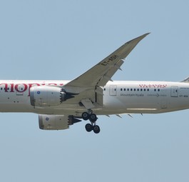 Dreamliner von Ethiopian Airlines: Die Fluggesellschaft setzt die Boeing 787 regelmäßig auf Flügen nach Asmara ein.