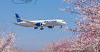 Ein Dreamliner von United: Die Airline will bis 2030 die gesamte Boeing 767-Flotte durch Dreamliner ersetzen.