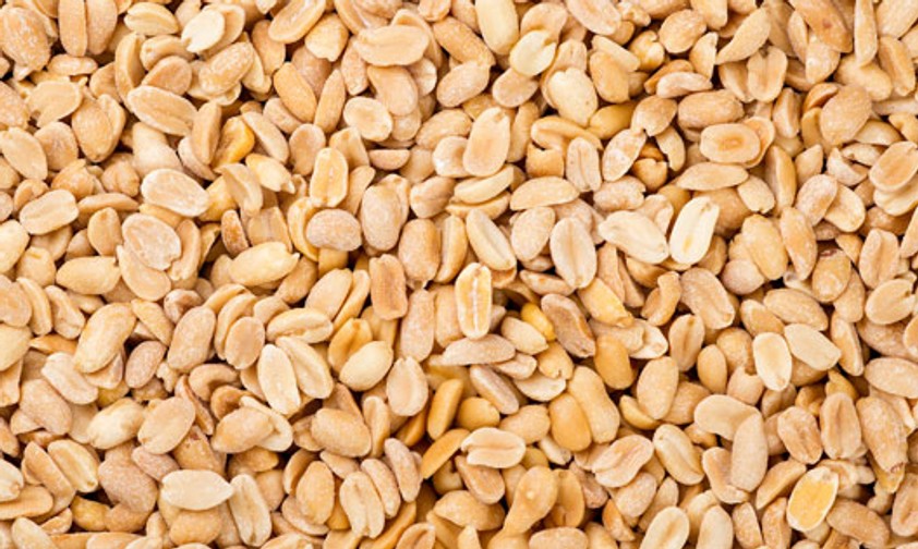 Erdnüsse: Können für Allergiker zum Problem werden.