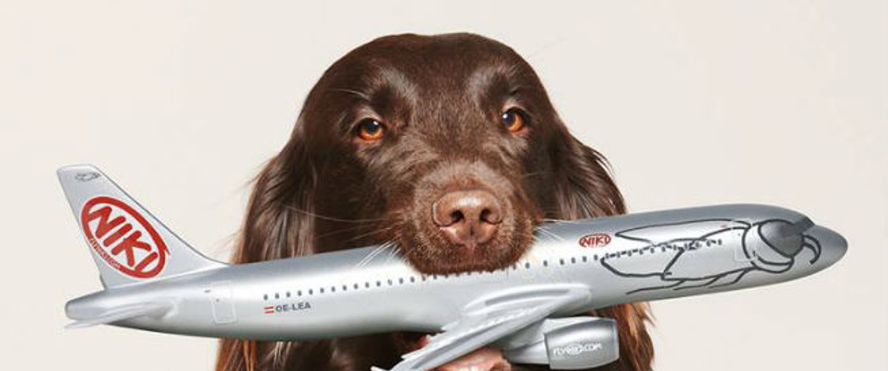 Niki-Werbefoto: IAG kam zum Zug.