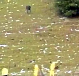 Er brachte den Jet aus Rache zum Absturz