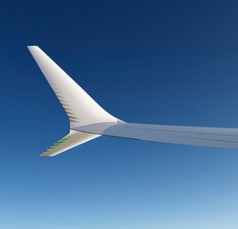 Fünf Piloten warnten vor umstrittenem System