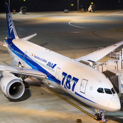 Boeing 787-8 von ANA: Die Airline hatte 30 Boeing 787-3 bestellt.