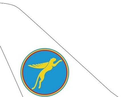 ticker air congo neu