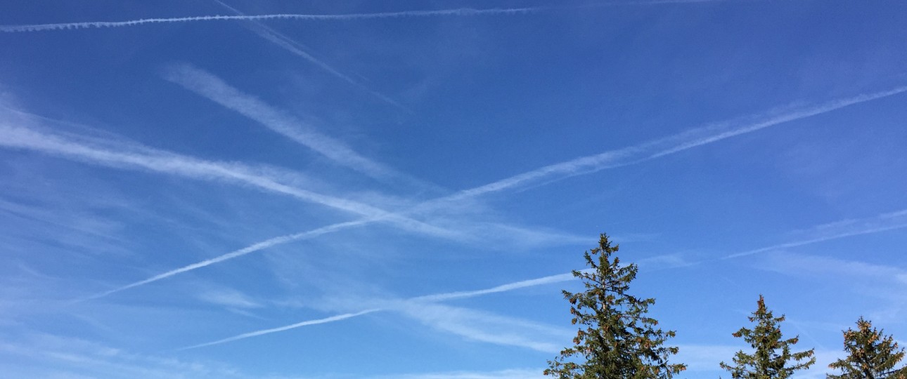 Fliegen: Sehen die meisten weiterhin positiv.