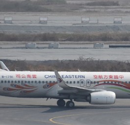 Boeing 737-800 mit dem Kennzeichen B-1791 (hier zu sehen im Jahr 2016): Am 21. März 2022 abgestürzt.