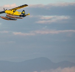 De Havilland DHC-2 Beaver von Harbour Air: Elektrische Flüge.