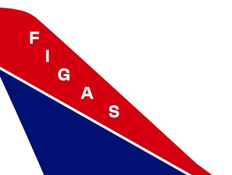 ticker-figas-falkland-islands-government-air-service
