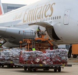 Luftfracht vor einem Airbus A380: Richtiger Frachter A380F wurde nie realisiert.