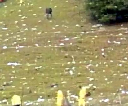 Er brachte den Jet aus Rache zum Absturz