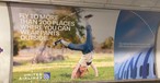 United-Werbung: Geglückt oder misslungen?