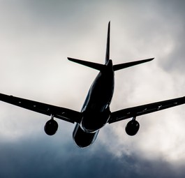 Im Juni startete die virtuelle Fluggesellschaft mit Sitz im Bundesstaat Nebraska. <strong>Red Way</strong> bot Flüge zu Urlaubszielen in den USA an. Am 31. August stellte sie den Betrieb ein.