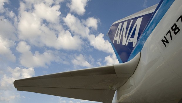Dreamliner-Flosse von ANA: Kein Problem mit dem Triebwerk.