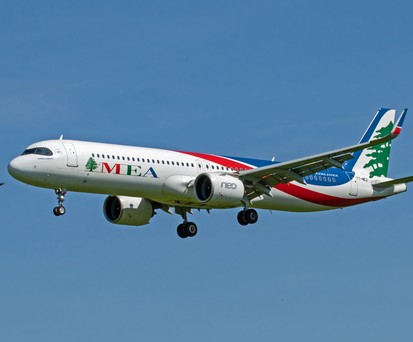 Ein Falke neben einem Flugzeug, hier von MEA: Nicht immer gehen solche Begegnungen gut aus.