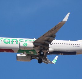 Flieger von Transavia France: Reine Boeing-737-800-Flotte.