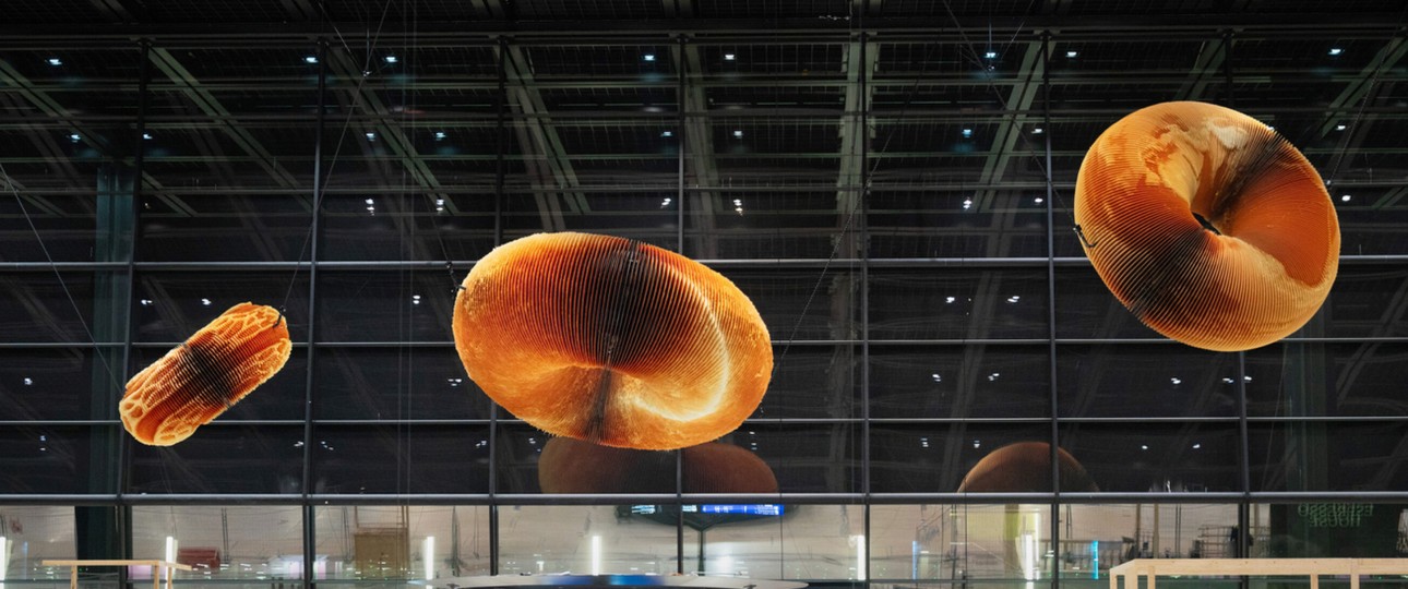 Kunst im T3: Die Donuts wurden wieder abgehängt.