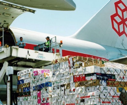 Frachter von Cargolux: Er bringt die Blumen ans Ziel.